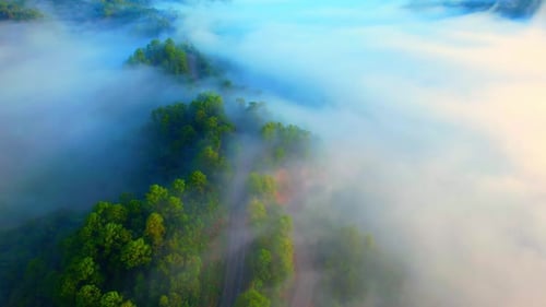 Aerial view over fog and road during sunrise