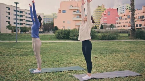 Women Practice Yoga in Urban Park