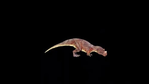 Wild Ceratosaurus Drinking 2