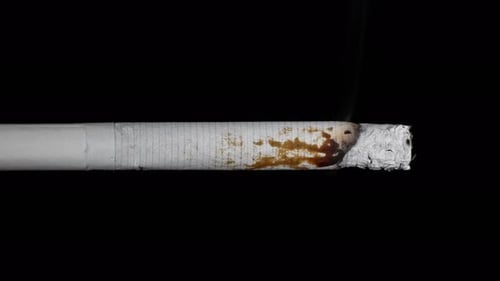 cigarette being lit Cigarette Being Lit By a Match in Close Up cigarette being lit Cigarette Being Lit By a Match in Close Up