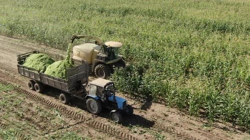Harvesting Equipment in a Rural Agriculture Field