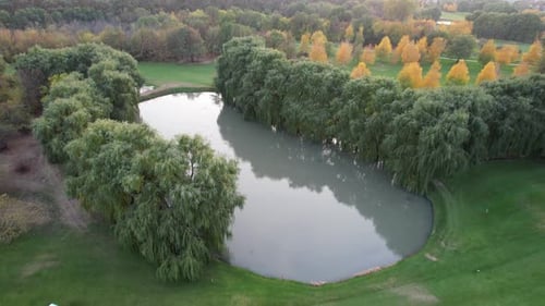 Green Golf Course with Willow and Pond Views