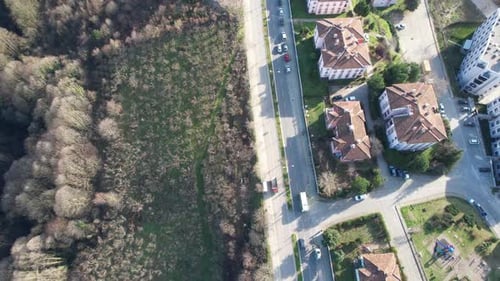 Stadt und Wald