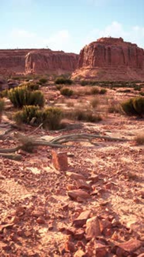 Arid Desert Landscape With Rocks and Plants