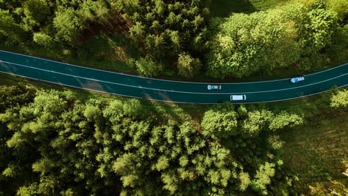 Road Trip Through Woodland Aerial Top View of Car Moving on Road in Forest
