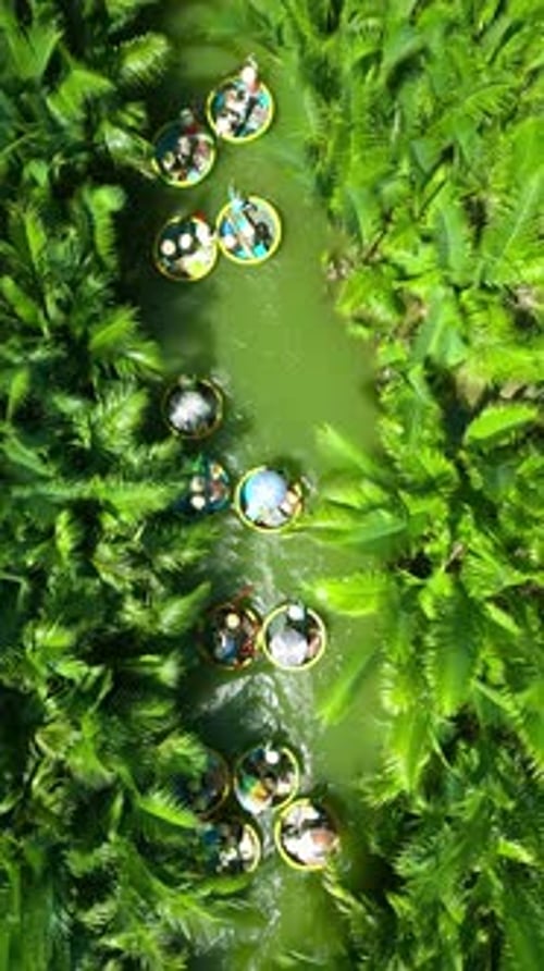 Scène vibrante de bateaux ronds naviguant sur une rivière verdoyante entourée de palmiers à Hoi