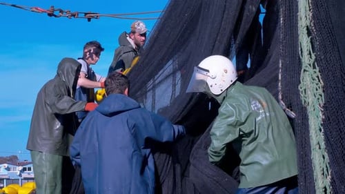 Fishermen Working on Boat Pulling in Large Net