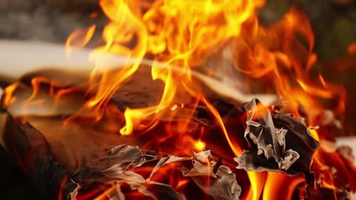 Close Up Footage of Flames Consuming a Sheet of Paper in Bright Detail