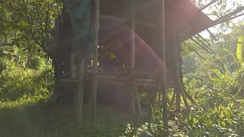 Tropical Hut in Natural Rural Setting