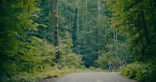 Friends Walking On Footpath Amidst Trees In Forest
