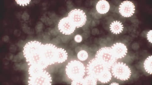 Viewing the Navirus Under a Digital Microscope