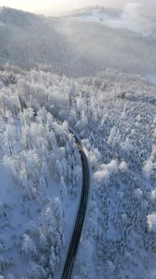 Scenic Road Through a Snowy Mountain Forest in the Winter Wonderland