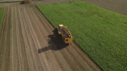 Aerial view of a beet harvester working in the field.