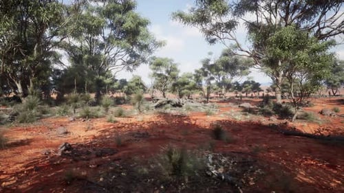 Slow Traverse Through Arid Australian Outback Landscape