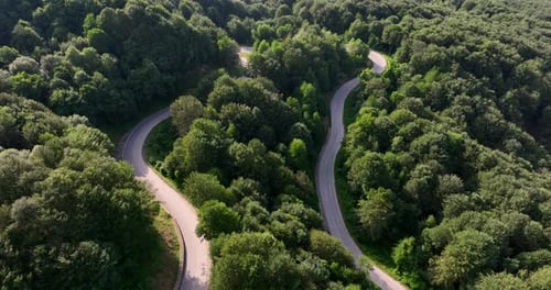 Aerial shot of a winding mountain road passing through a pine forest.