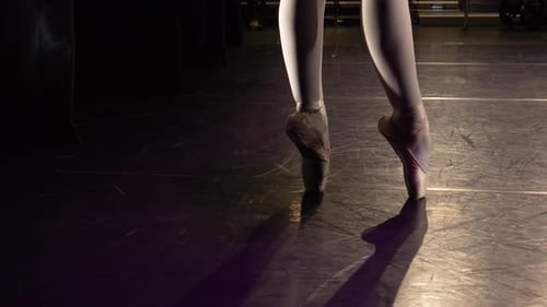 Close Up Female Ballerina En Pointe in Ballet Shoes Adult