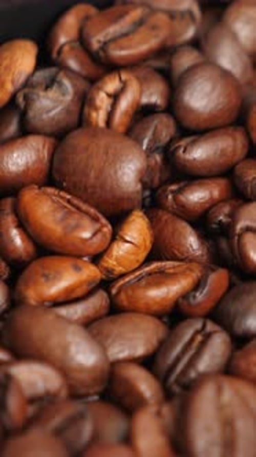 Coffee Beans Shaking in Coffee Machine While Grinding Making Process Closeup Vertical