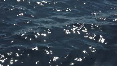 Sparkling Sunlight Reflecting on Blue Ocean Surface