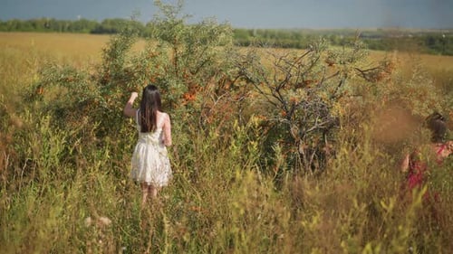 Women Harvesting Bright Orange Berries in Summer Field