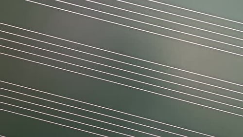 Music School Board