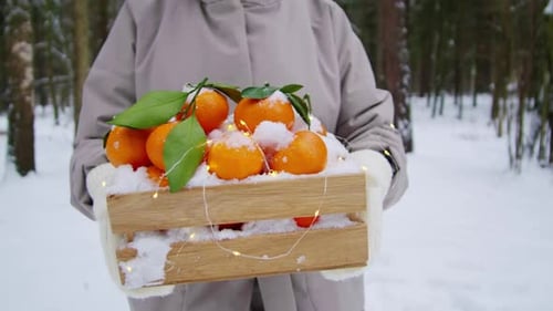 Orange d'hiver, mandarine, mandarine en hiver, neige, Noël, nouvelle année, humeur, gros plan de fruits