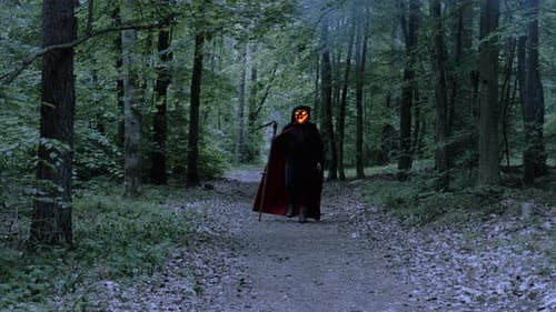 Scary Grim Reaper With Flaming Skull Face Walking In The Smoky Forest With Scythe. - pullback