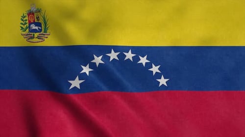 Realistic Venezuelan National Flag Waving Animation