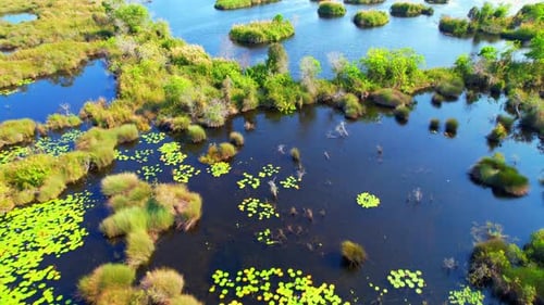 Aerial view over beautiful wetland