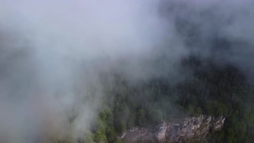 Limestone White Rocks in a Spruce Forest Under Misty Clouds