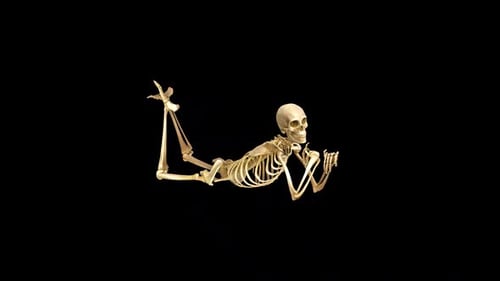 Skeleton Laying 2