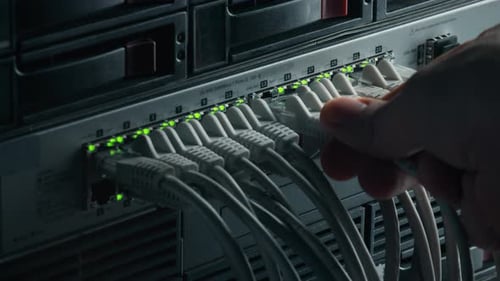 Ethernet Cables Connected to a Network Switch