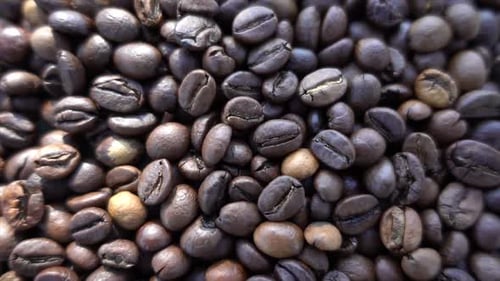 Close Up of Fresh Coffee Beans