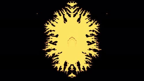 Abstrakte Tintenfarbe Spread Mirror Illusion 16