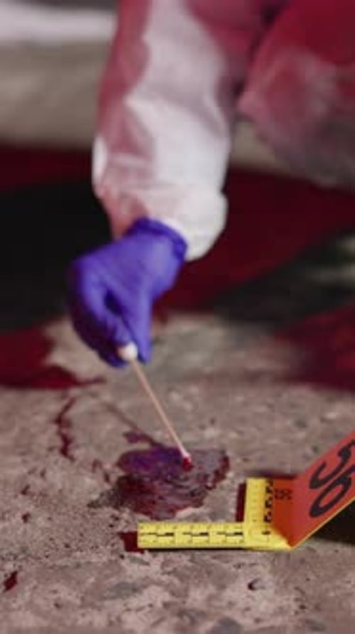 Crime scene, blood or hands of person with swab for evidence, sample or investigation on road