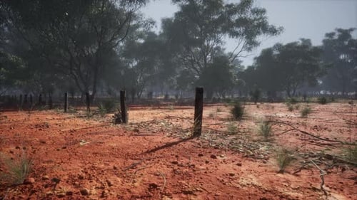 Rural Barbed Wire Fence in Dusty Arid Landscape