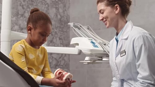 Girl Holding Teeth Model with Dentist in Office