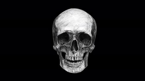 Human skull rotating with subtle breathing motion on black background seamless loop hand drawn digit