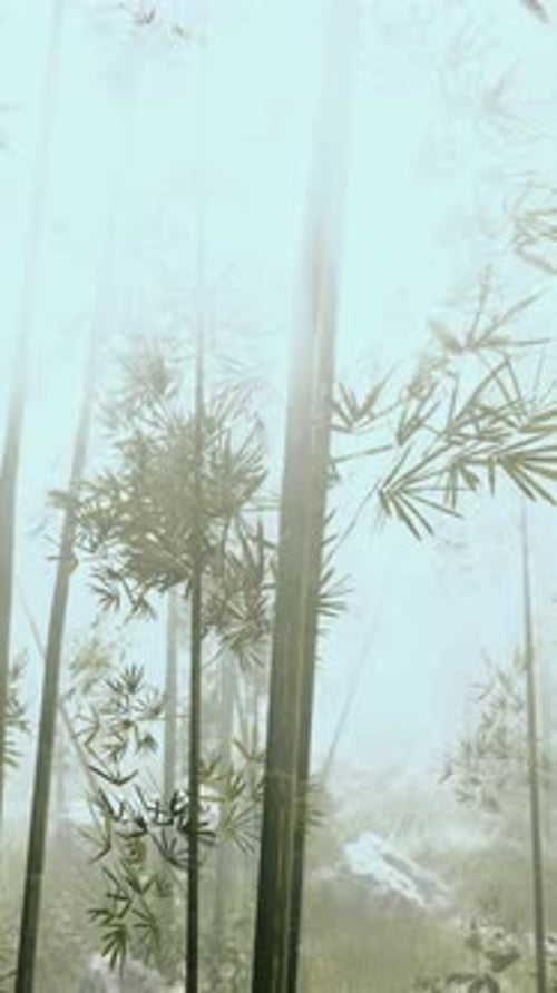 Towering Bamboo Trees in Forest Vertical