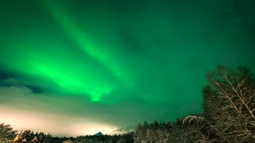Aurora Borealis in a Winter Night Sky