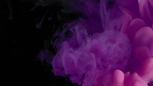 Abstract Purple and Pink Ink Swirling in Darkness