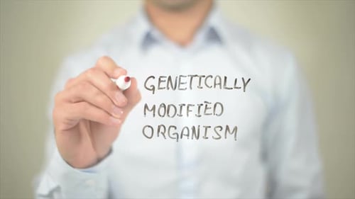 Genetically Modified Organism