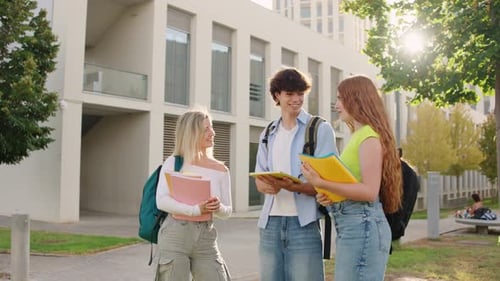 University Students Discussing Notes Outdoors