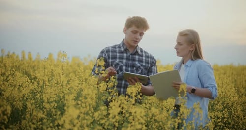 Farmer And Agronomist Discussing In Farm During Sunset