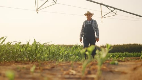 Farmer Standing Proudly in Rural Crop Field