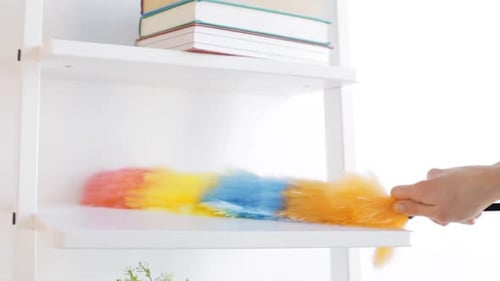 Colorful Duster Cleaning White Bookshelf and Potted Plant