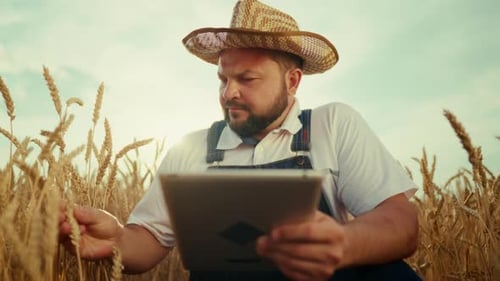 Farmer in Rye Field Modern and Traditional Agriculture Technology Portrait Professional Agronomist