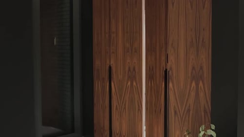 Modern wooden closet with brown panels design