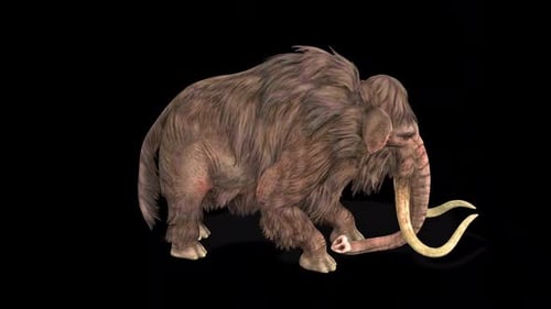 Mammoth Idle