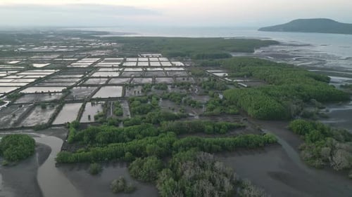 Aerial View of Tropical Coastline