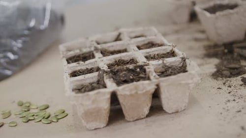 Close up of seeds, biodegradable seed trays, soil and trowel on table top, slow motion